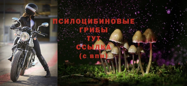мдма Нефтекумск